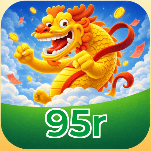 FAQ 95r Brasil